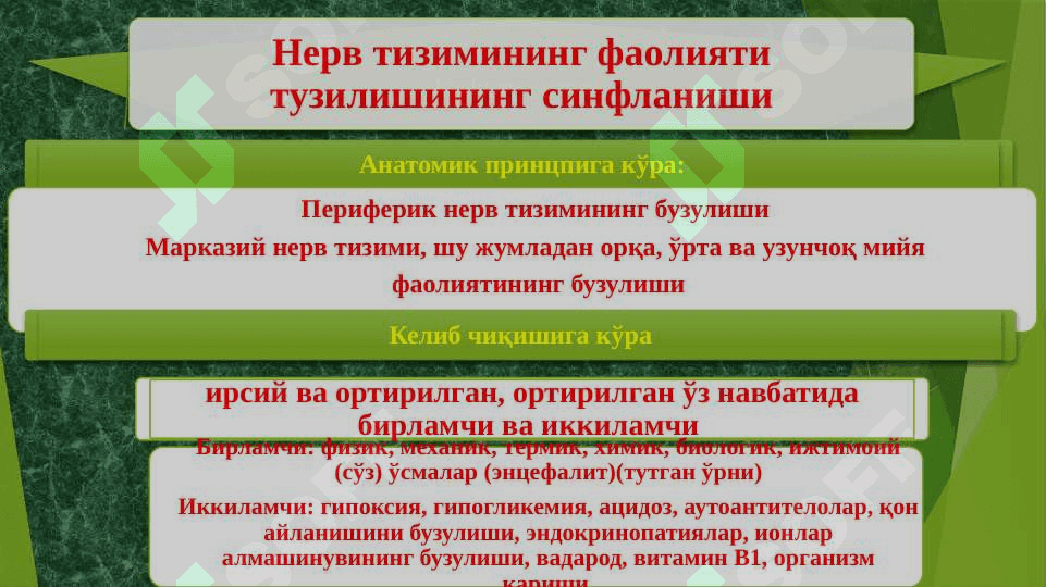 Нерв  тизимининг патофизиологияси 2