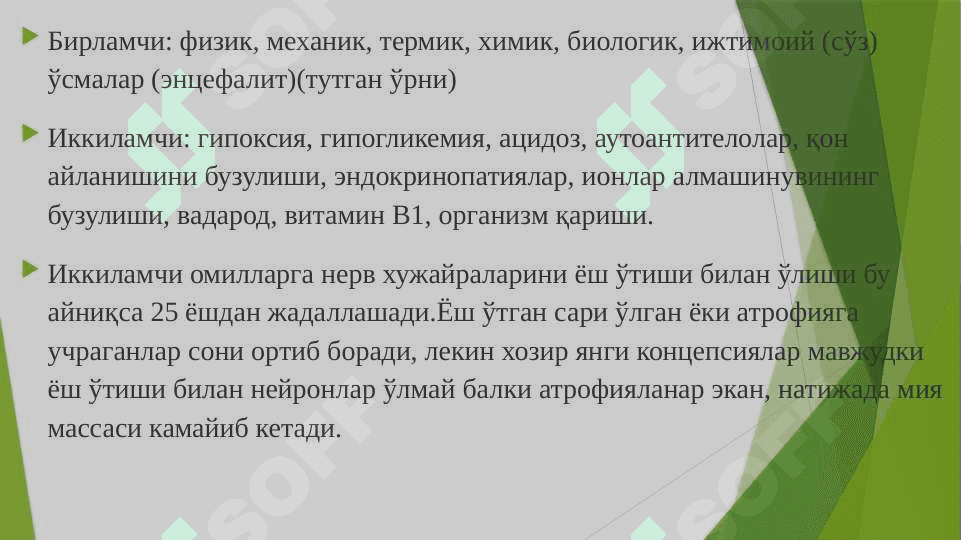 Нерв  тизимининг патофизиологияси 3