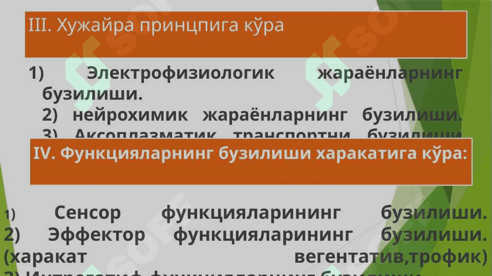 Нерв  тизимининг патофизиологияси 4