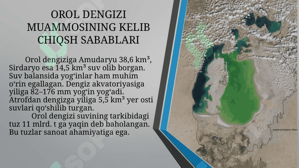 Orol dengizi muammosi 4