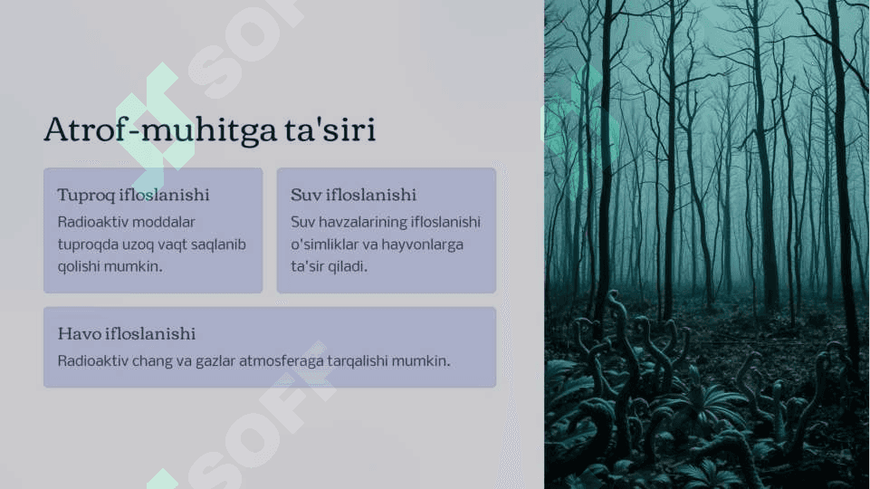 Radiaktiv ifloslanish xolati 3