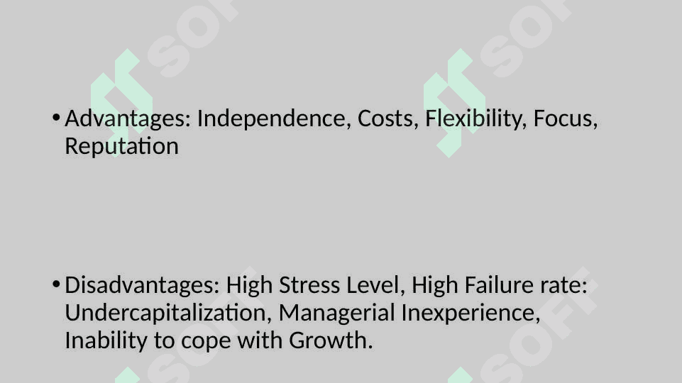 Options for organizing a business 8