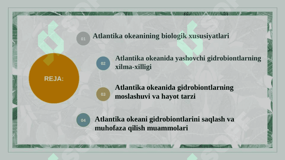 Atlantika okeani gidrobiontlari biologiyasi 2