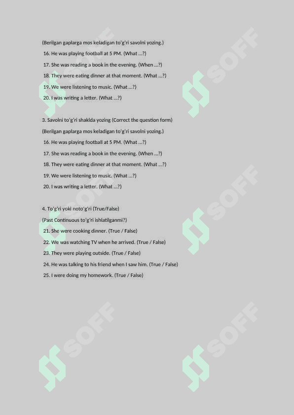 past continuous test 2
