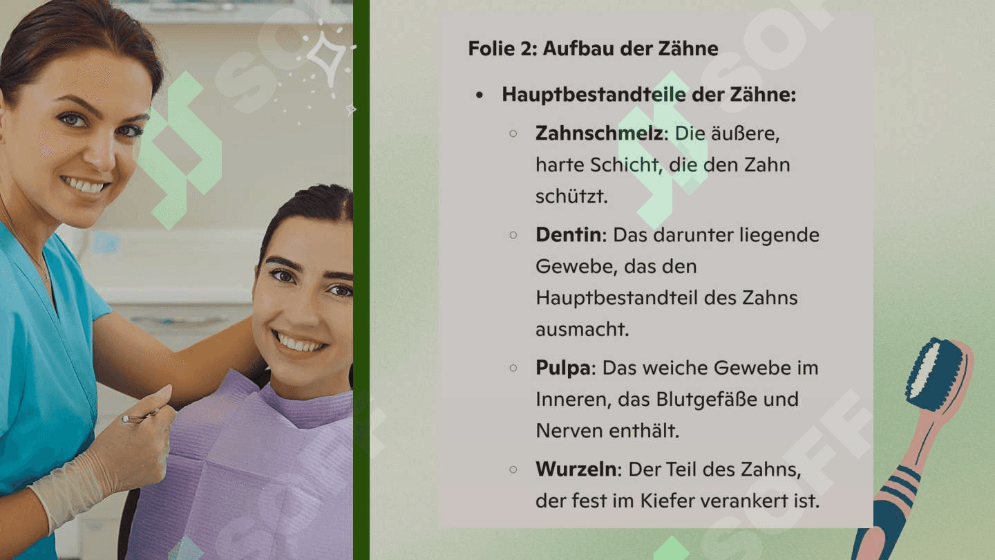 Zahne und ihre funktioner 4