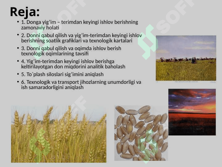 Don omborlari va elevatorlarga donni qabul qilish va yiq`im terimdan keyingi ishlov berish 2