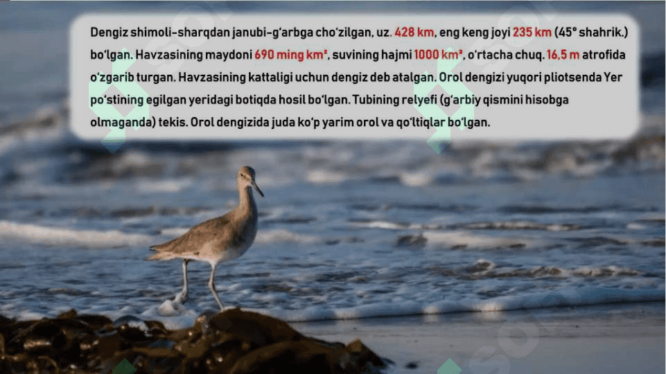 orol muommosi va uni hozirgi kundagi ahamiyati 3