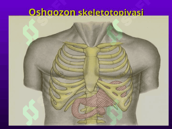 Oshqozonda bajariladigan operatsiyalar 4