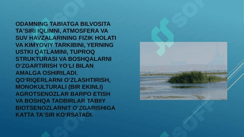 tuproq qoplamining antropogen omillar tasirida ifloslanish muammolari 3