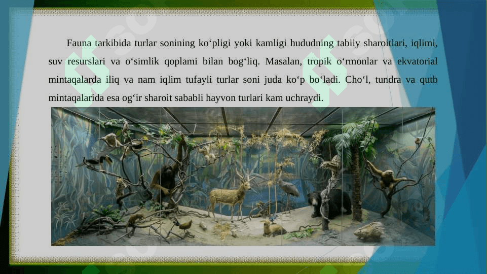 Fauna yoshi va genezisi. fauna tarkibida tur sonining ko‘pligi yoki kamligi va uni belgilovchi ekologik omillar. 3