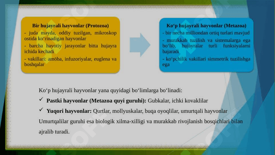 Hayvonot dunyosining hukmronliklarga ajratilishini izohlang 4