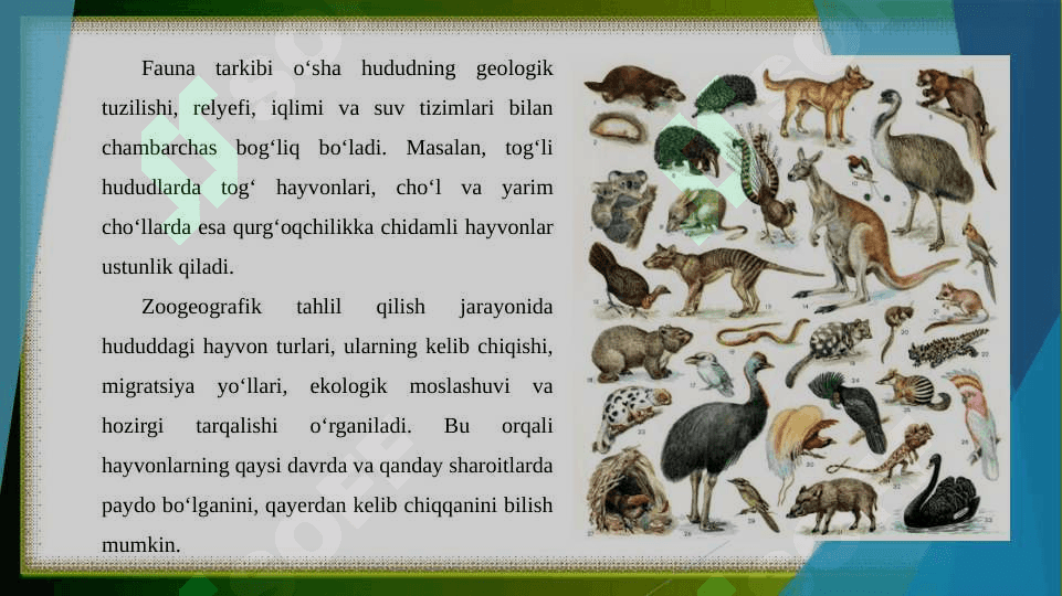 Zoogeografiyada fauna tushunchasi. Fauna tarkibi. Faunaning avtoxton va alloxton elementlari. 4