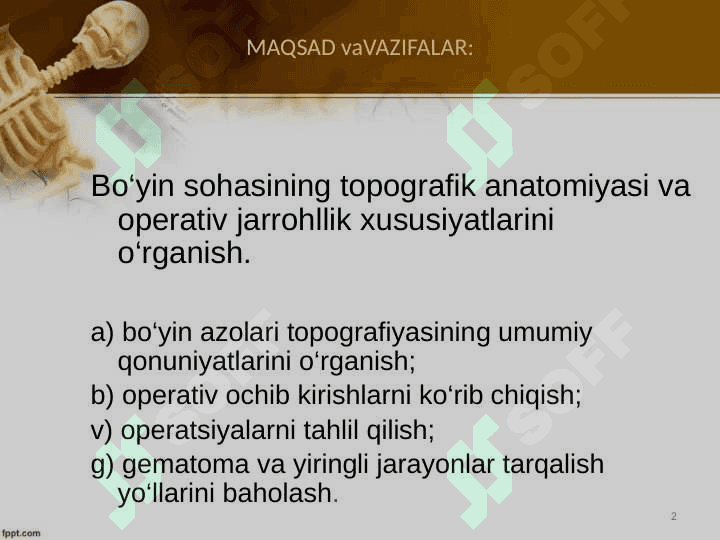 Bo‘yin sohasining topografik anatomiyasi va operativ xirurgiyasi 2