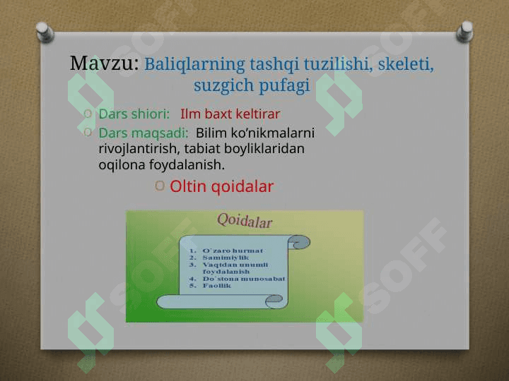 Baliqlarning tashqi tuzilishi, skeleti, suzgich pufagi mavzusidagi bir soatlik dars ishlanmasi 2