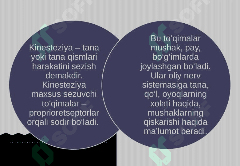 Harakat tayanch a’zolari jarohatlangan bolalar 8