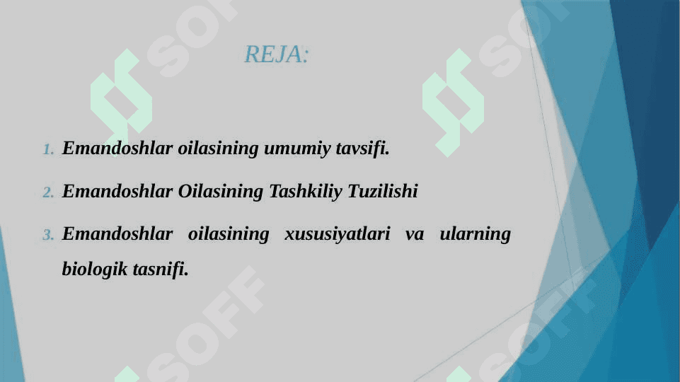 EMANDOSHLAR OILASI ASOSIY TURLARI, TARQALISHI VA TABIATDAGI AHAMIYATI 2