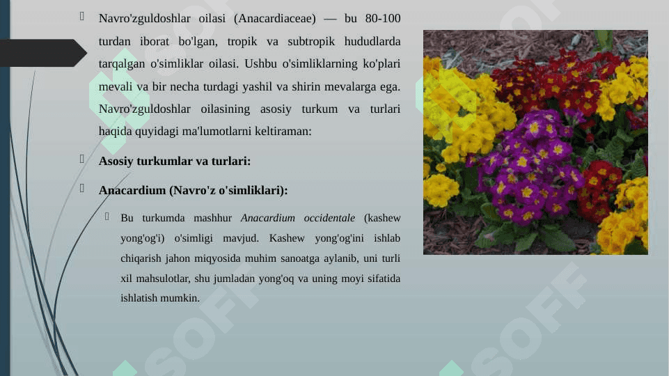 NAVRO'ZGULDOSHLAR OILASINING ASOSIY TURKUM VA TURLARI. TARQALISHI VA AHAMIYATI 8