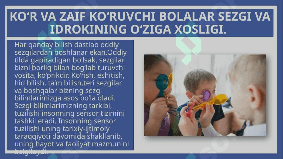 Ko'rish nuqsoniga ega bolalar sezgi va idrok diqqat va xotirasining o'ziga xosligi 3