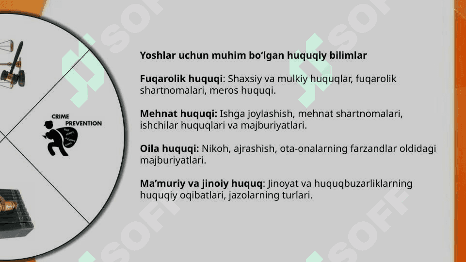 Huquq fani o‘qituvchilarining huquqbuzarliklarni oldini olishdagi roli 8