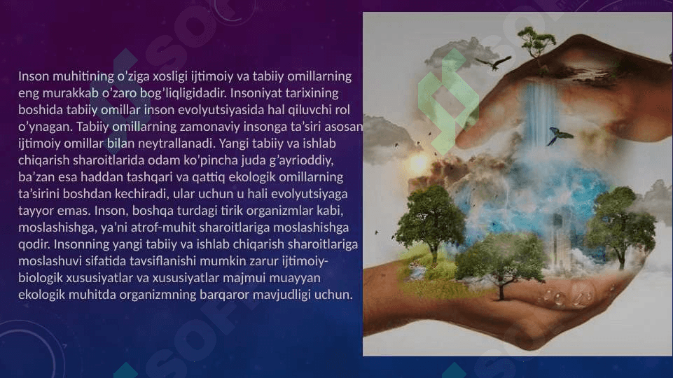 Organizmni muhit bilan oʻzaro tasiri.Organizmning hayot shakllari haqida,biogesenozlar va ularning tuzilmalari 3