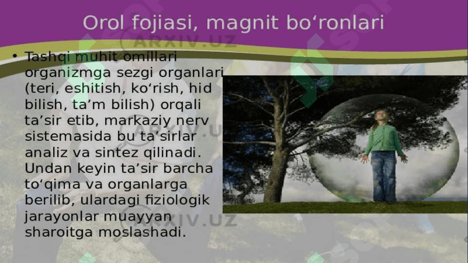 Organizmni muhit bilan oʻzaro tasiri.Organizmning hayot shakllari haqida,biogesenozlar va ularning tuzilmalari 4