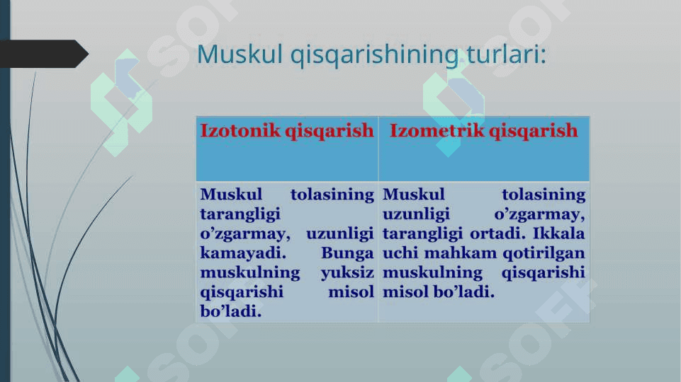 Mushaklar ishi va biomehanikasi 4
