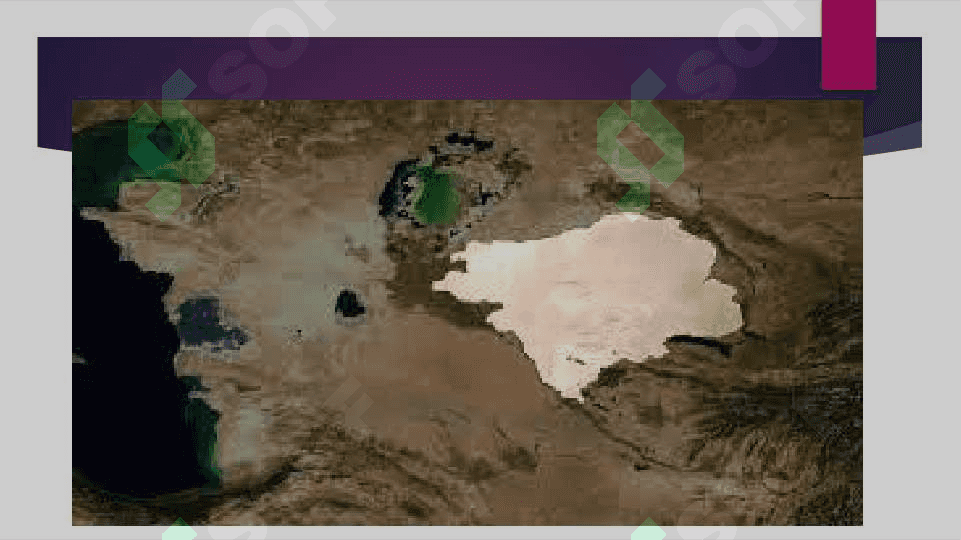 Oʻzbekistonda oʻsimlik va hayvonot dunyosi 4