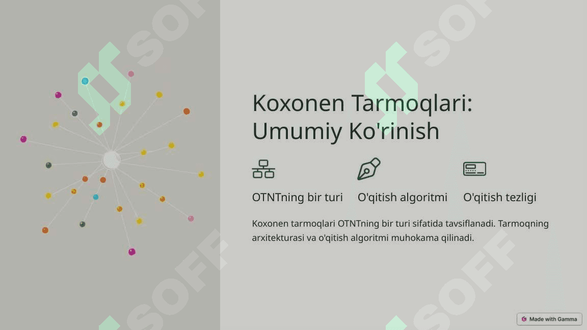 O'z-o'zini Tashkil Etuvchi Neyron Tarmoqlar (OTNT) 3