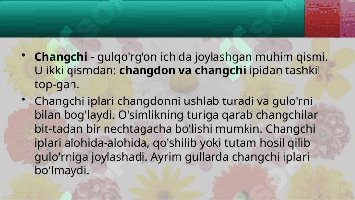 GULI - O'SIMLIKLARNING GENERATIV KO'PAYISH ORGANI 8
