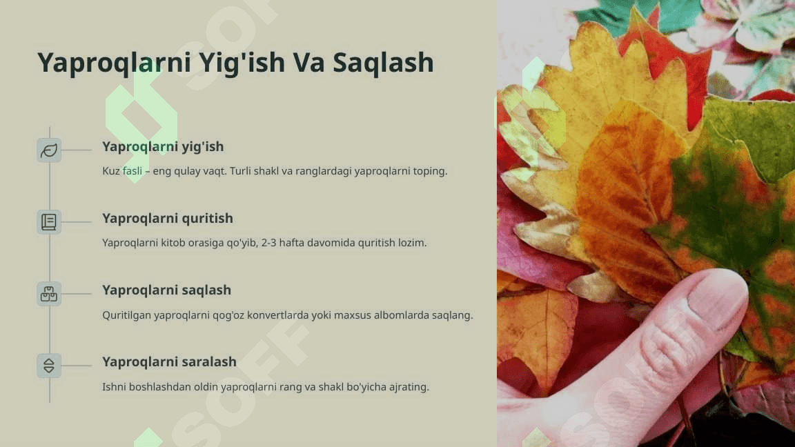 Yaproqlardan Hayvon Shakllarini Yasash 4