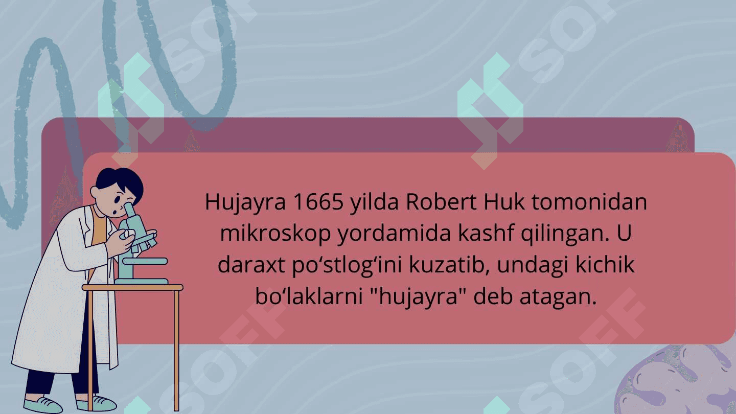 Hujayra 3
