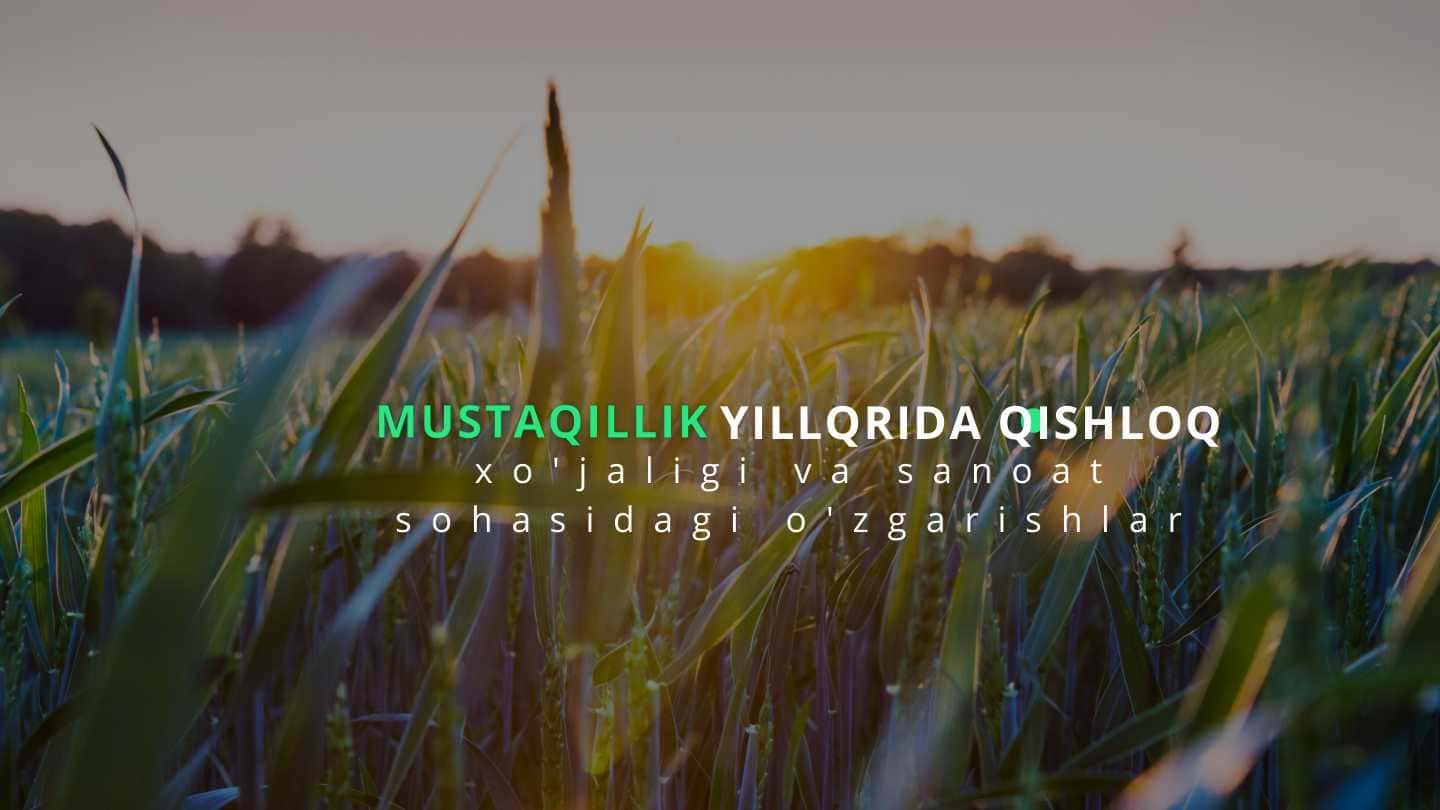 Mustaqillik yillarida qishloq xo'jaligi