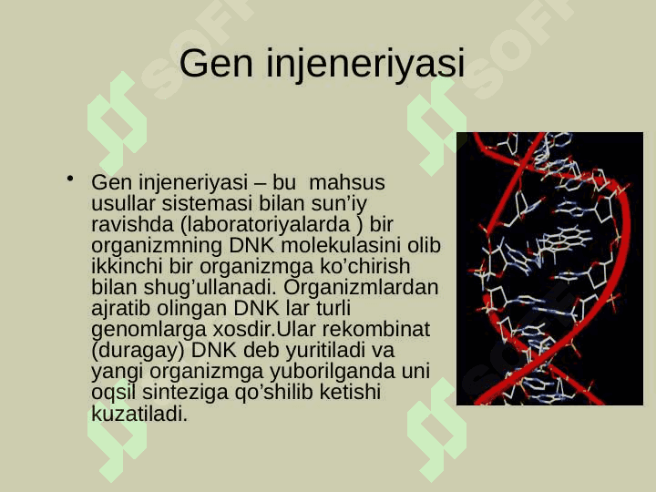 Gen muhandisligi asoslari 5