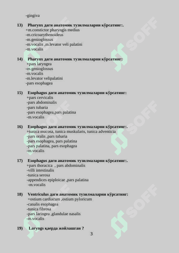 Anatomiya fanidan testlar 3