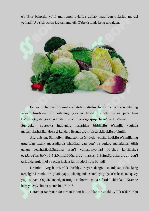 Jag'-jag'(Capsella bursa pastories) o'simligining biologiyasi 7