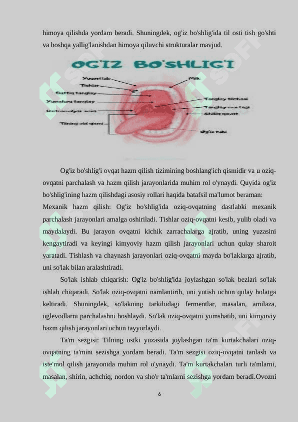 “Insonning ovqat hazm qilish tizimiga kirishi va chiqishi” 6