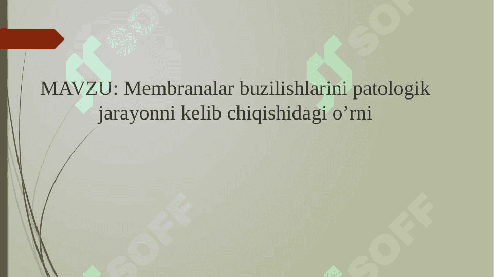 Membrana buzilishlarini patologik jarayonni kelib chiqishidagi oʻrni 2