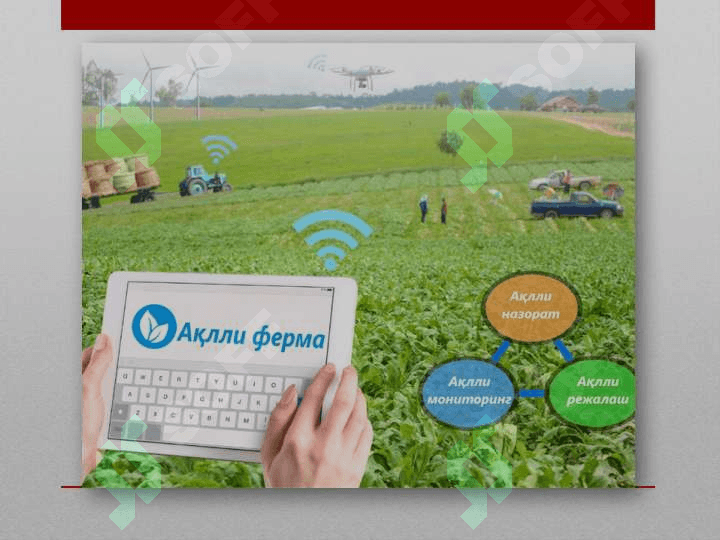 Qishloq xo'jaligida innovatsion texnologiya faoliyatini tashkil etish 4