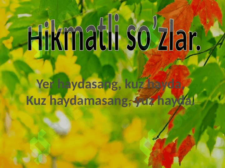 2-sinf Fan:  O’qish Mavzu: “Kuz”. 3