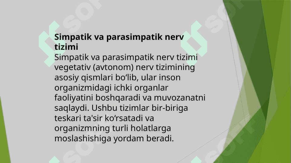 Simpatik va parasimpatik nerv tizimi.Ontagenezda rivojlanishi 3