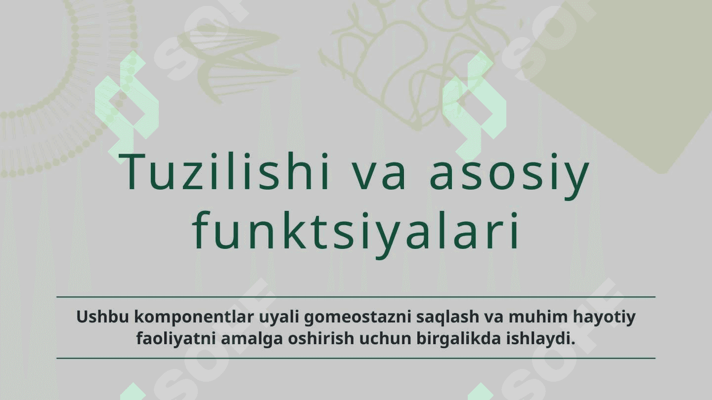 Hujayralar va ularning turlari. Hujayralarning tuzilishi va uning funksiyalari 6