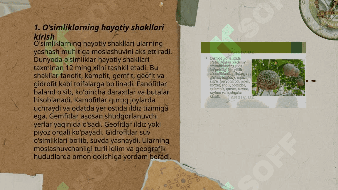 O‘simliklarning hayotiy shakllari. Tuban o‘simliklar. Yuksak o‘simliklar 3