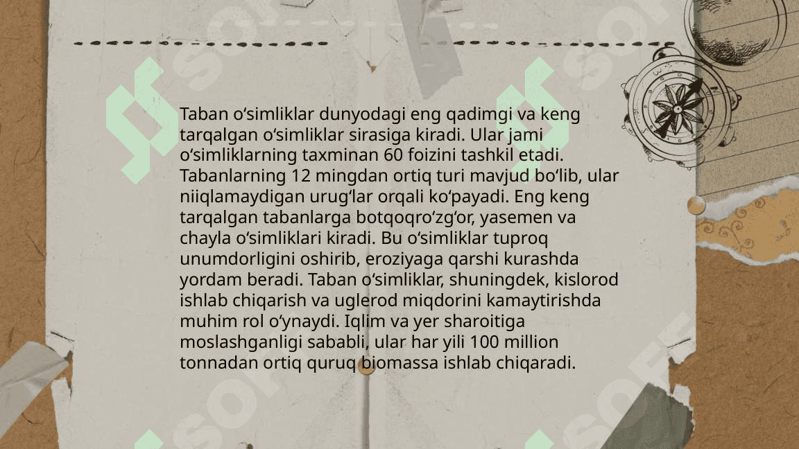 O‘simliklarning hayotiy shakllari. Tuban o‘simliklar. Yuksak o‘simliklar 4