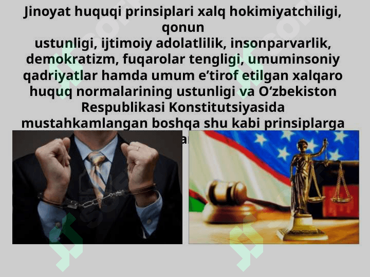 Jinoyat huquqining maqsadi,vazifasi va tamoyillari 3