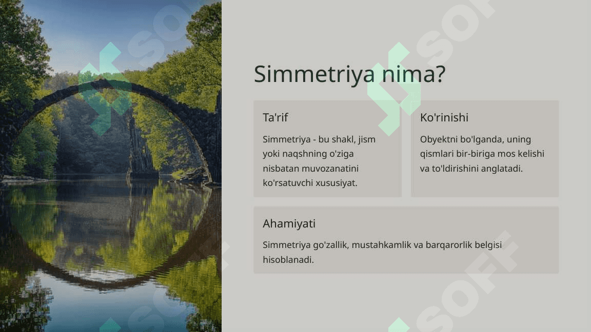 Tabiatdagi Simmetriya 3
