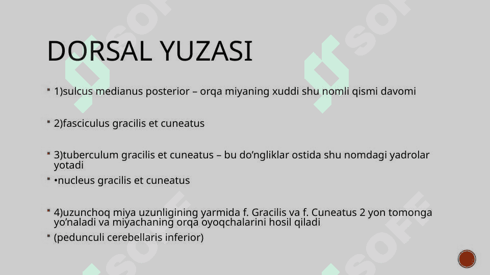 Uzunchoq miya 6
