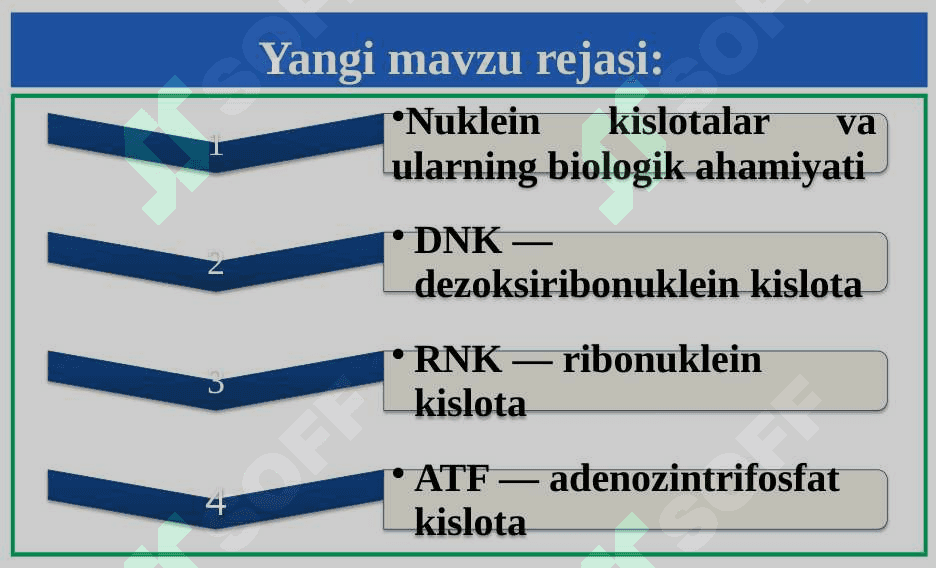 Nuklein kislotalar 3