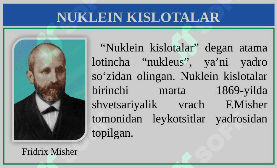 Nuklein kislotalar 4