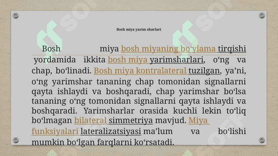 Bosh miya 6