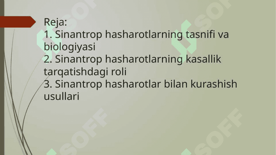 Sinantrop hasharotlarning epidemiologik ahamiyati 3